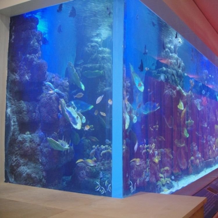 Lar Modern Style Acrylic Fish Aquarium Thick and Big Size Custom Cutting and Moulding Processing Available