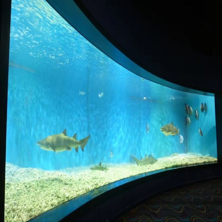 Lar Modern Style Acrylic Fish Aquarium Thick and Big Size Custom Cutting and Moulding Processing Available