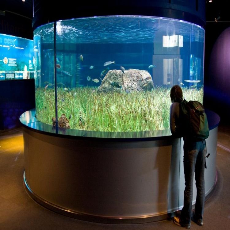 Lar Modern Style Acrylic Fish Aquarium Thick and Big Size Custom Cutting and Moulding Processing Available