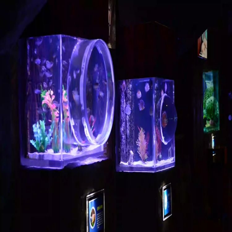 Lar Modern Style Acrylic Fish Aquarium Thick and Big Size Custom Cutting and Moulding Processing Available