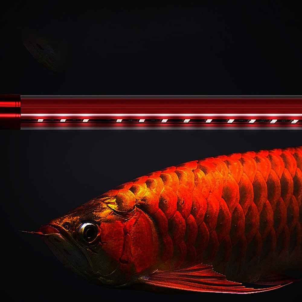 30W LED Dragon Fish tank light five rows of waterproof high-light three-color optional diving brightening special aquarium light