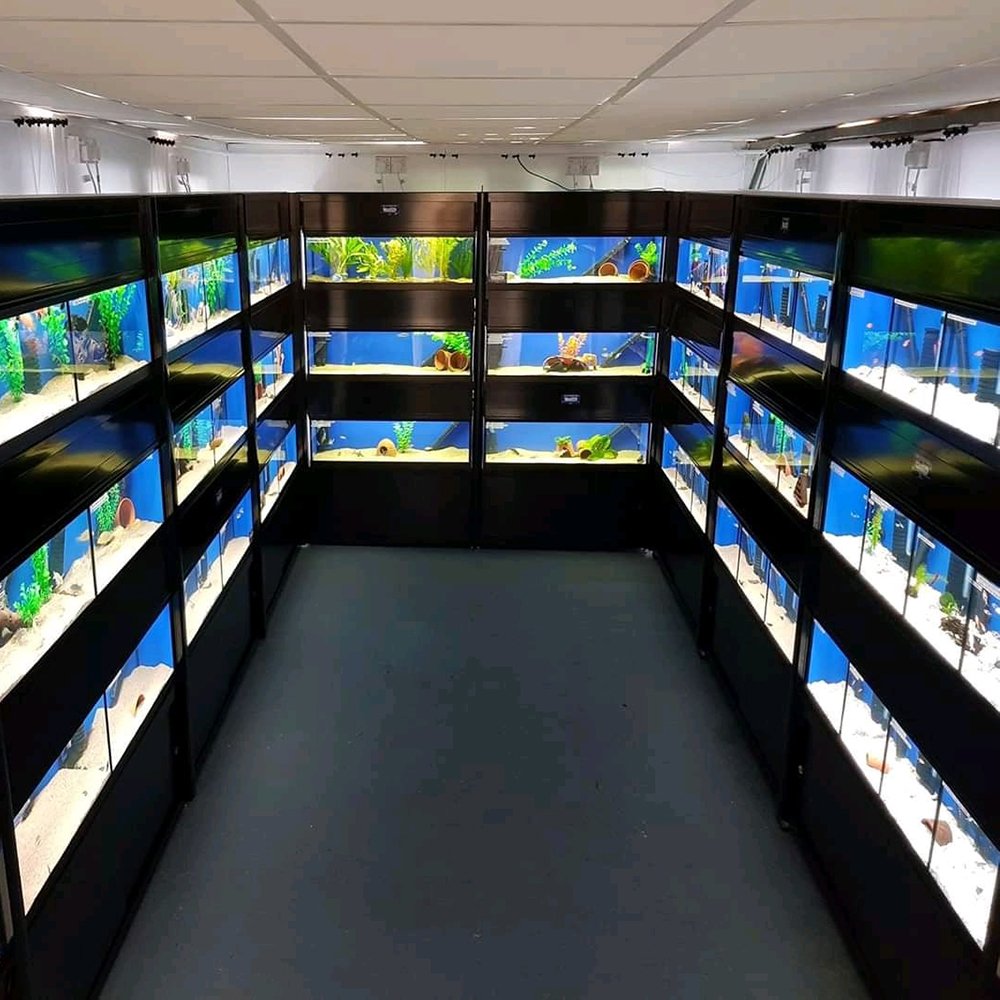 Custom black three layers fish lobster live seafood Aurariums fish tank for restaurant supermarket