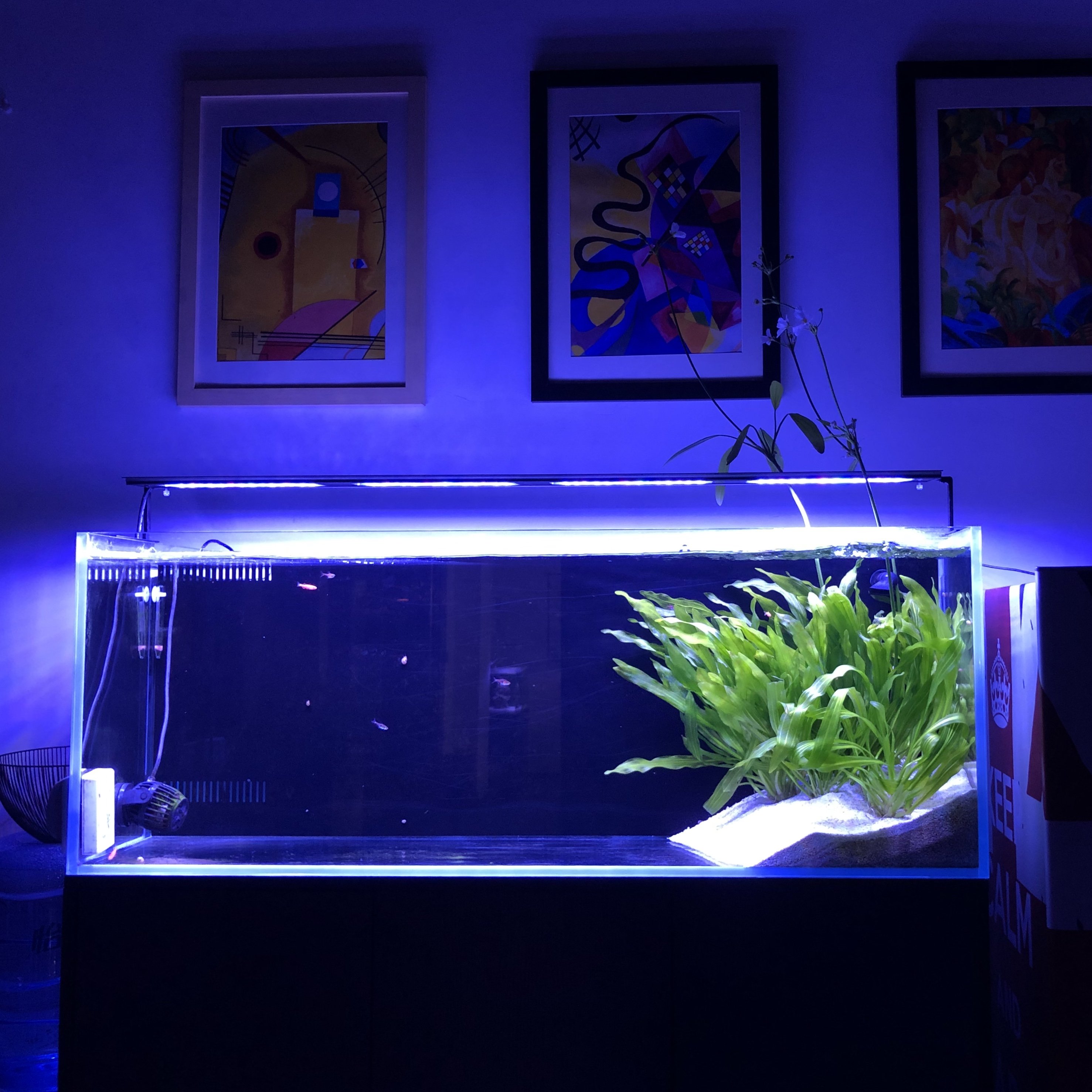 MICMOL 90W Timer Saltwarer Light Sunrise Sunset LCD Coral Reef Full Spectrum Marine Aquarium Light