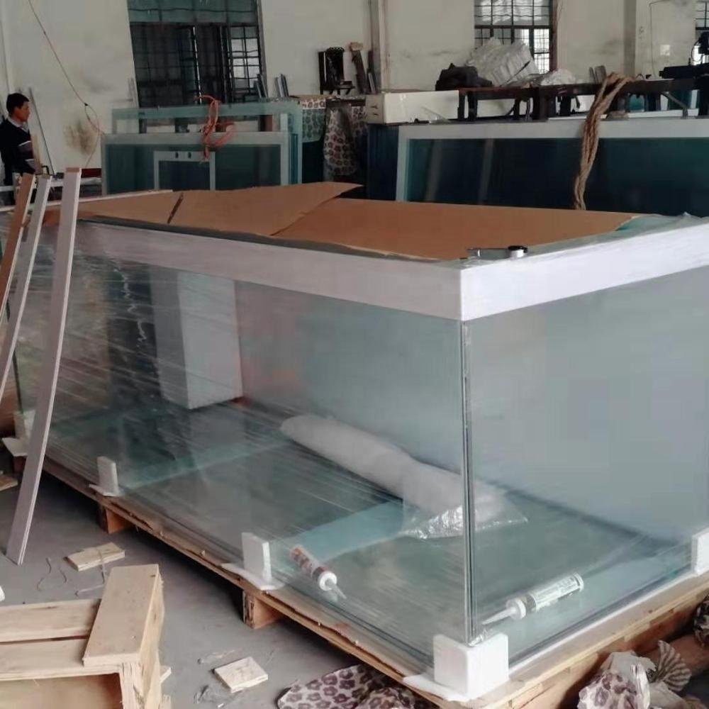Custom size 5 in 1 ultra clear curved glass aquarium tank