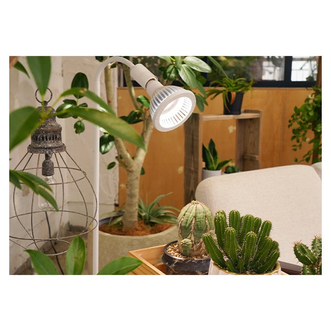 Whole Sellers Highest Quality 20W Led Plant Grow Full Spectrum Other Professional Lighting