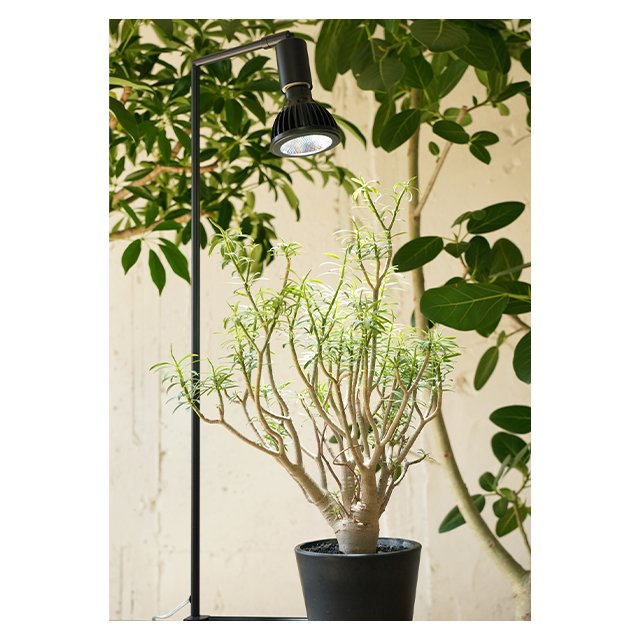 Low Price Best Recommendation Extremely Thin Frame Adjusted Angle Led Lamp Base Mini Stands Light