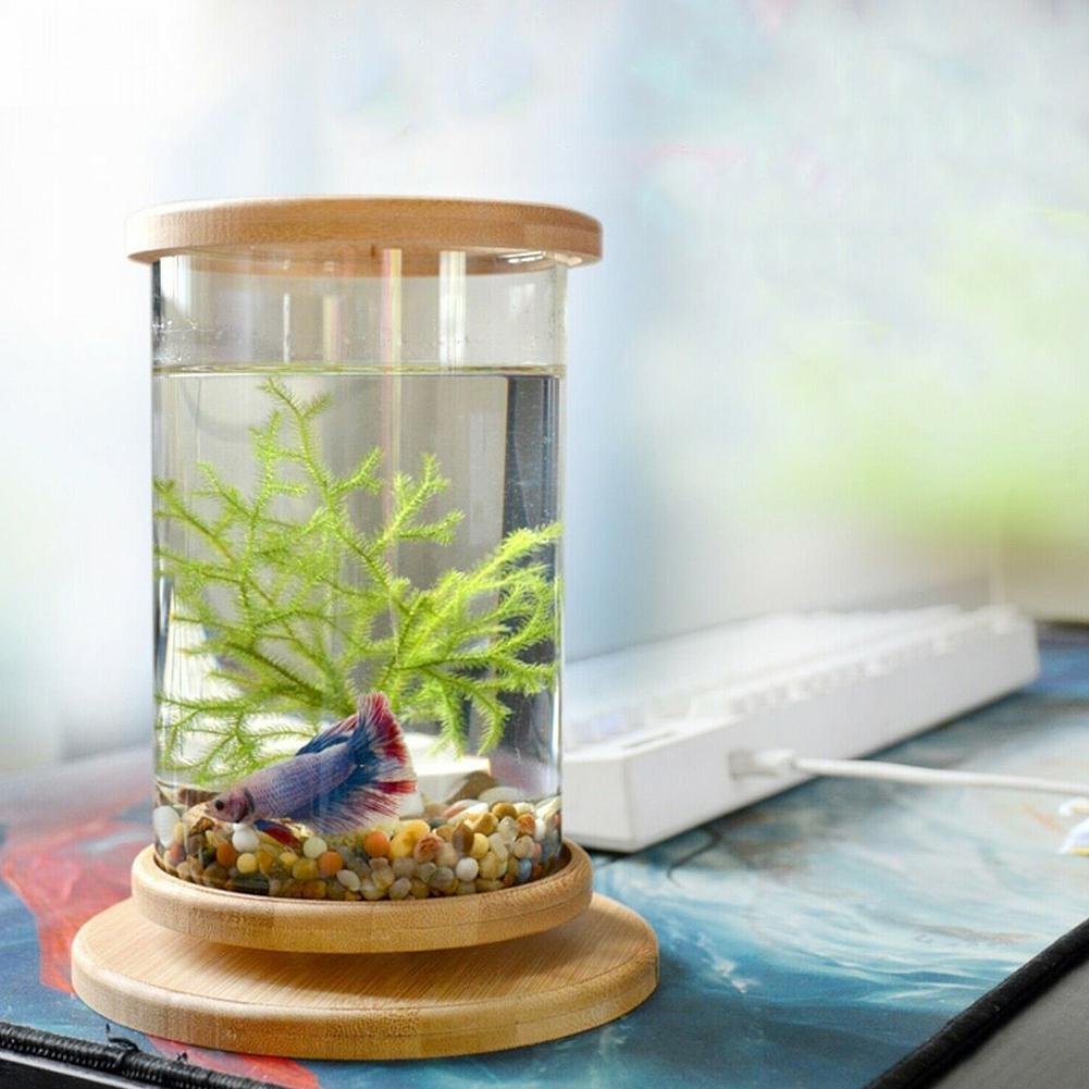 Ecological Base Decoration Aquarium Accessories Home Mini Fish Bowl Rotate With Colored Light
