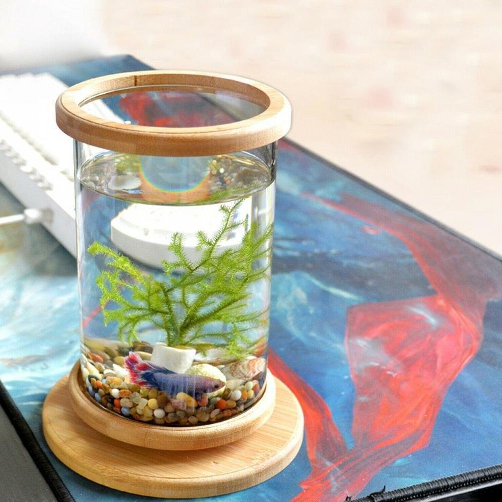 Ecological Base Decoration Aquarium Accessories Home Mini Fish Bowl Rotate With Colored Light