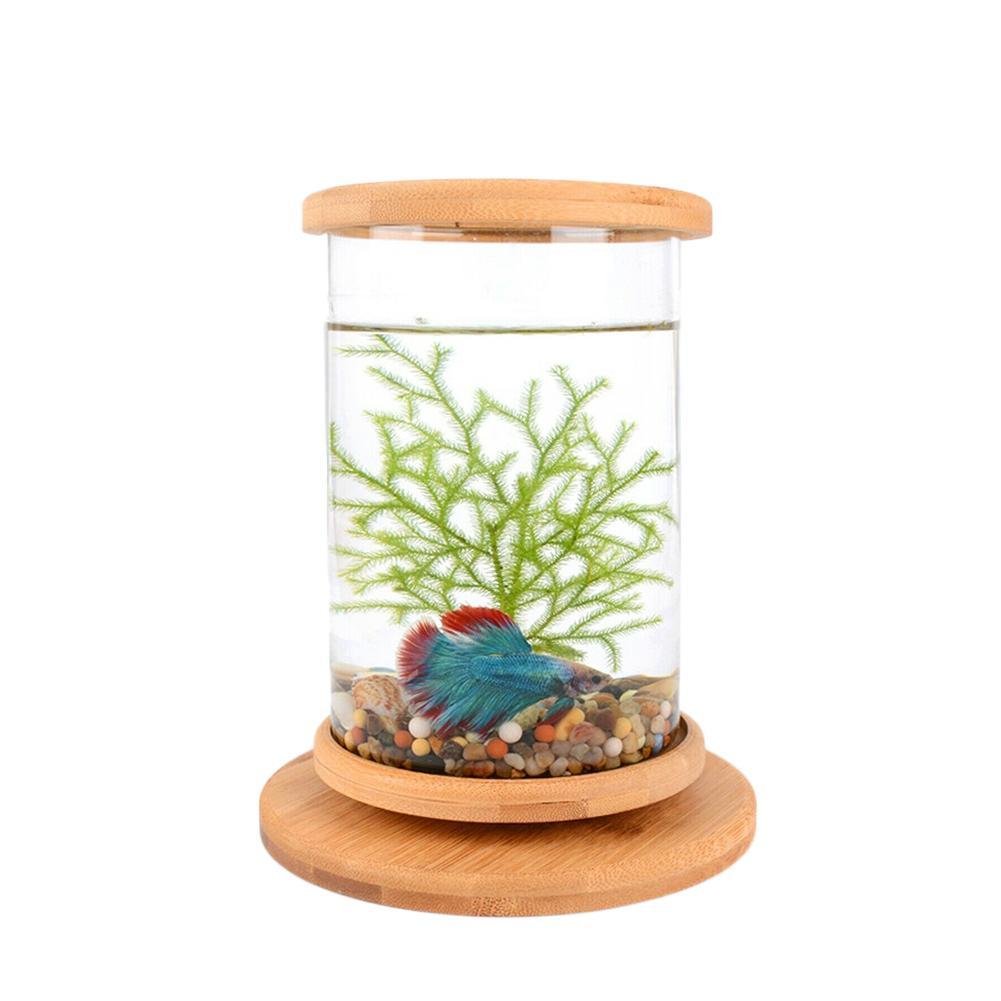 Ecological Base Decoration Aquarium Accessories Home Mini Fish Bowl Rotate With Colored Light