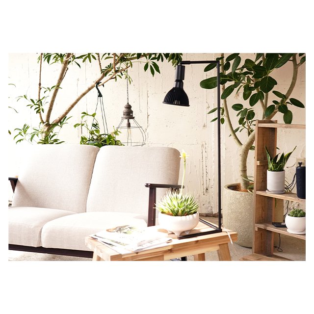 Best Recommended Quality Extremely Thin Frame Akond Adjusted Angle Led Base Stand Lamp Light