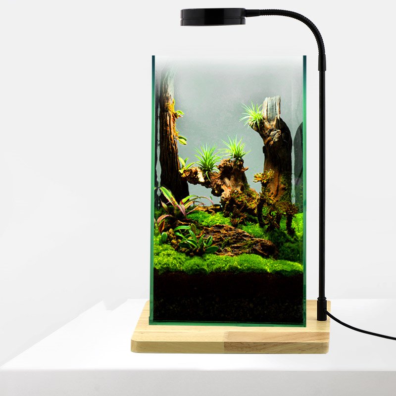 Hot Sale Led Aquarium Light Fish Tank Lamp with Timer and Dimmer 5w 7w 9w China with Wooden Base micro landscape tank