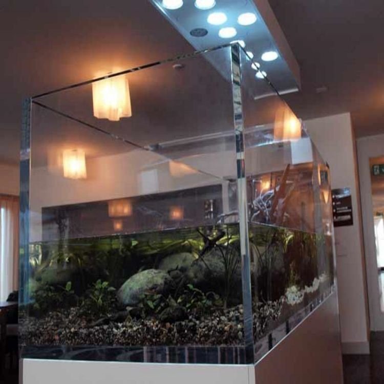 Customized Ultra Clear Acrylic Tank Aquarium Glass Fish Tank with Cylinder Semi Circle Shape