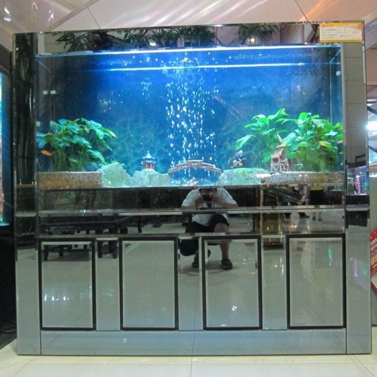 Customized Ultra Clear Acrylic Tank Aquarium Glass Fish Tank with Cylinder Semi Circle Shape