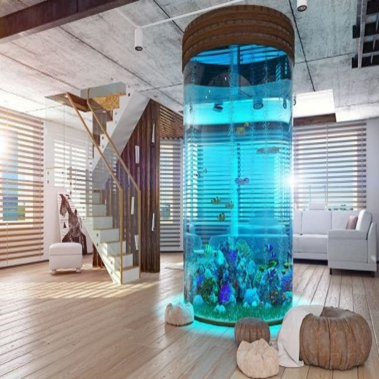 Customized Ultra Clear Acrylic Tank Aquarium Glass Fish Tank with Cylinder Semi Circle Shape