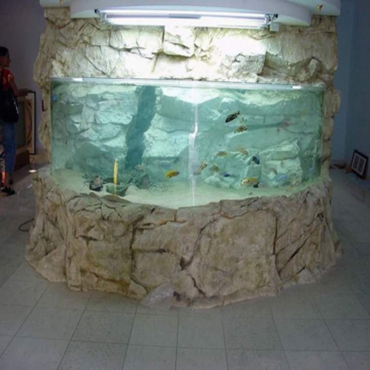 Customized Ultra Clear Acrylic Tank Aquarium Glass Fish Tank with Cylinder Semi Circle Shape