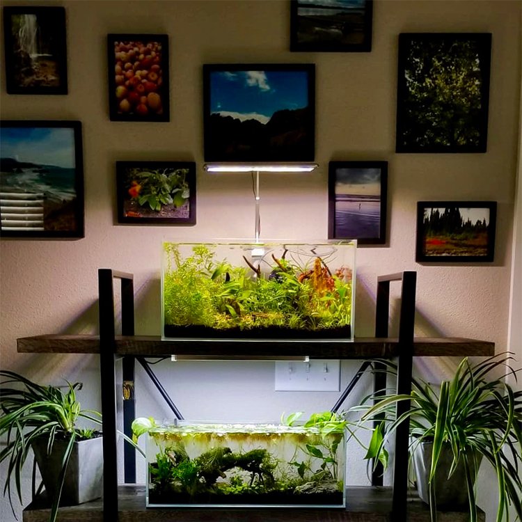 MicMol Aqua CC Programmable Timer Planted Aquarium Light WRGB 30W Lighting For Fish Freshwater Aquascaping