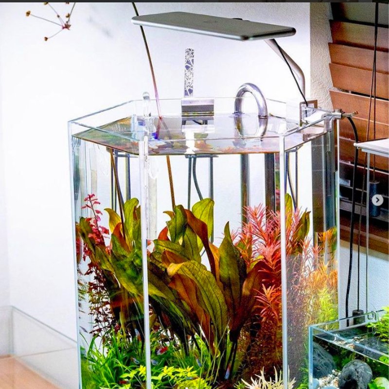 MicMol Aqua CC Programmable Timer Planted Aquarium Light WRGB 30W Lighting For Fish Freshwater Aquascaping