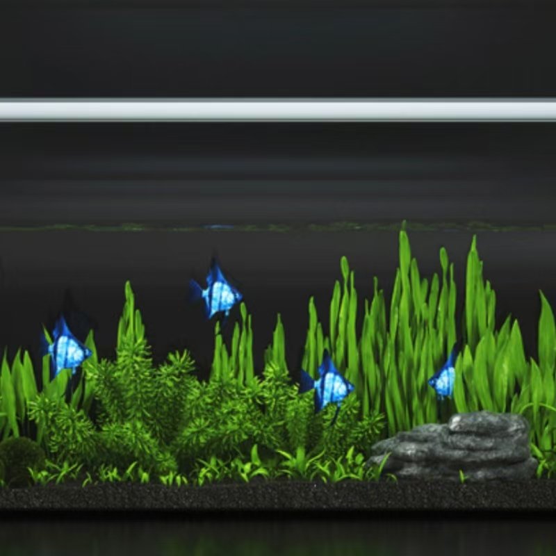Boyid Small fish tank light LED stand straw tank aquarium light four rows of color-changing lights
