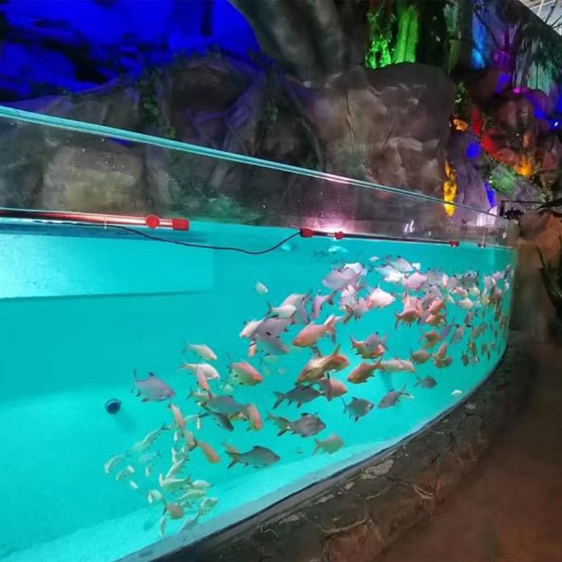 Factory Custom Personalized Cylindrical Acrylic Aquariums Fish Tank for a Mesmerizing Viewing Experience