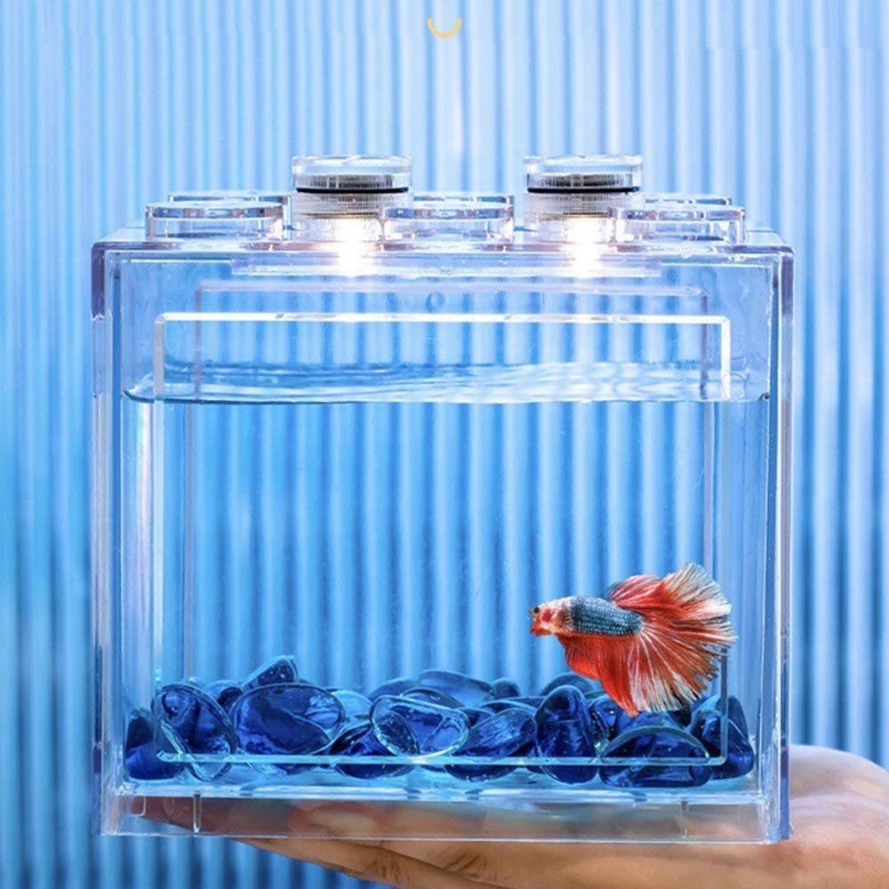 Acrylic 4-Gallon Aquarium with White LED Lights Modern Compact Tank for Tabletop or Desktop Display