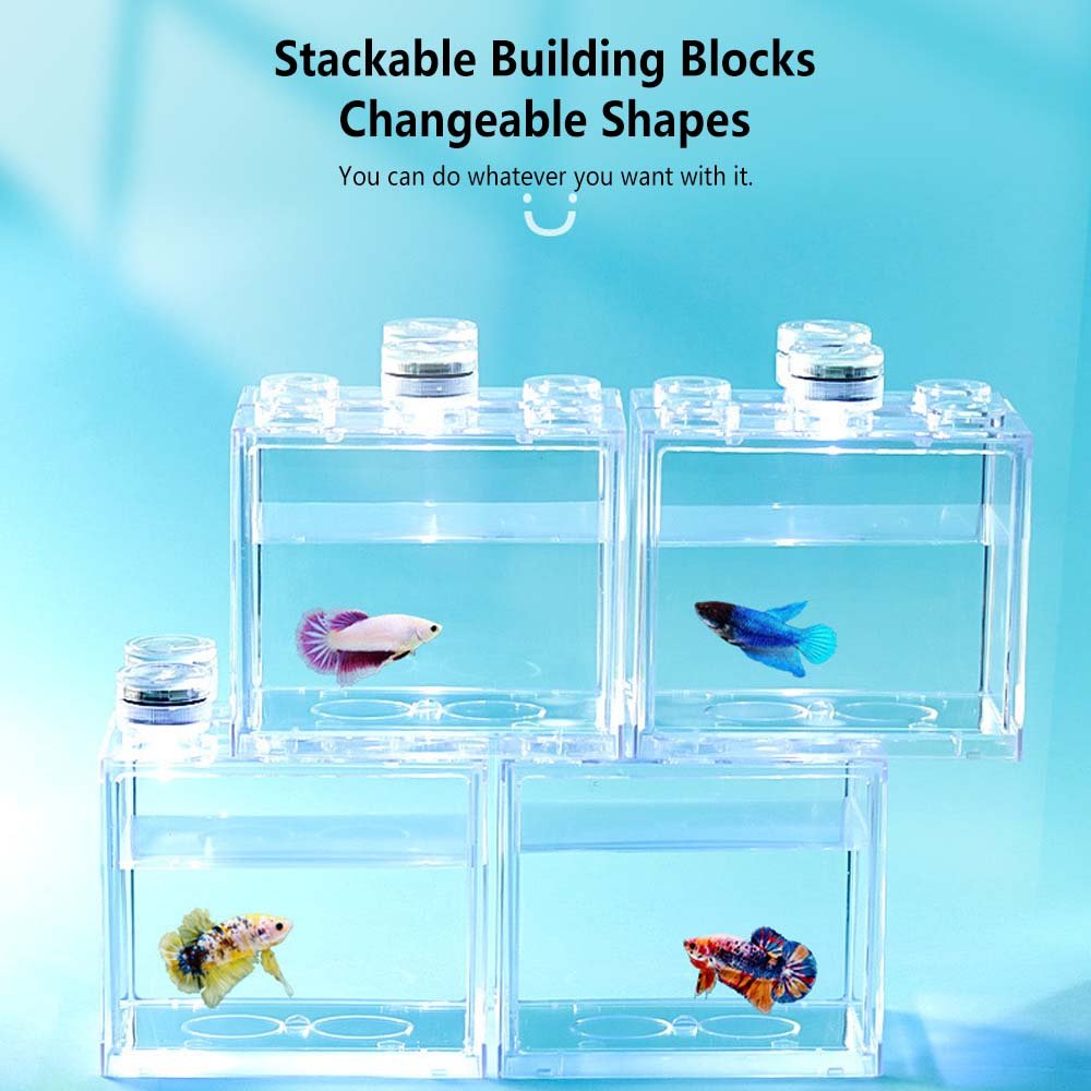 Acrylic 4-Gallon Aquarium with White LED Lights Modern Compact Tank for Tabletop or Desktop Display