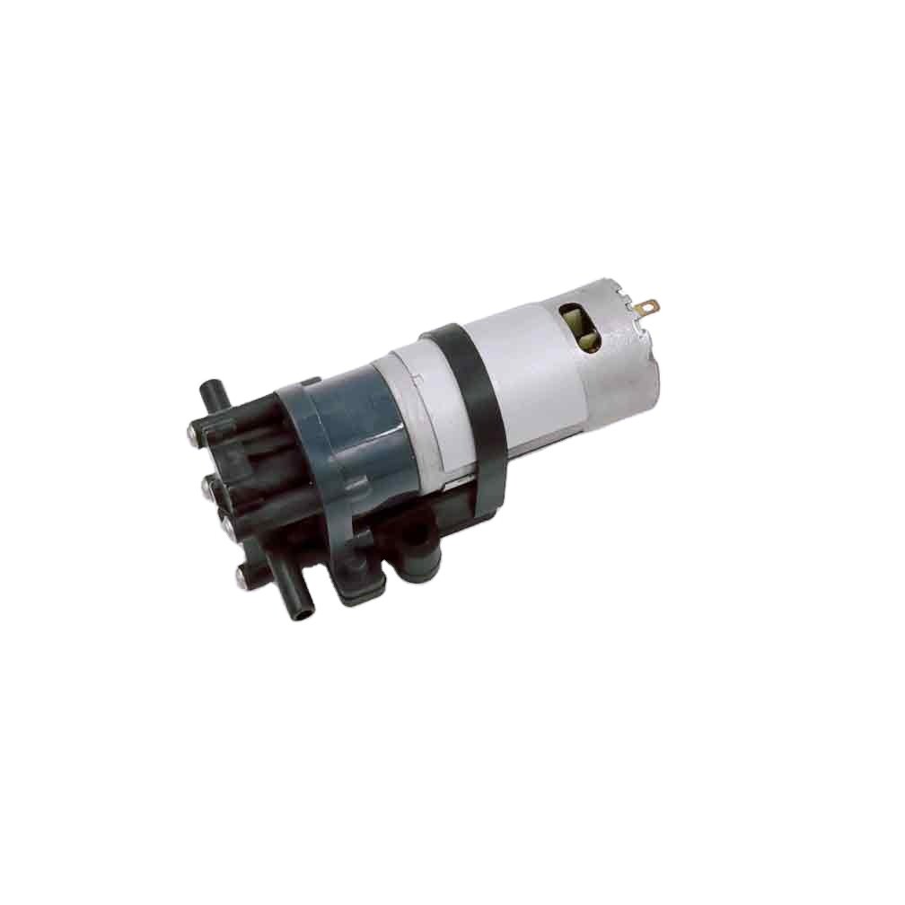 2.4 L/m Electric 12V or 24V Dc Brush Mini Gear Pump 5A Micro Gear Pump Food Grade 6 Months Low Pressure 8W 6.5mm C524-3200