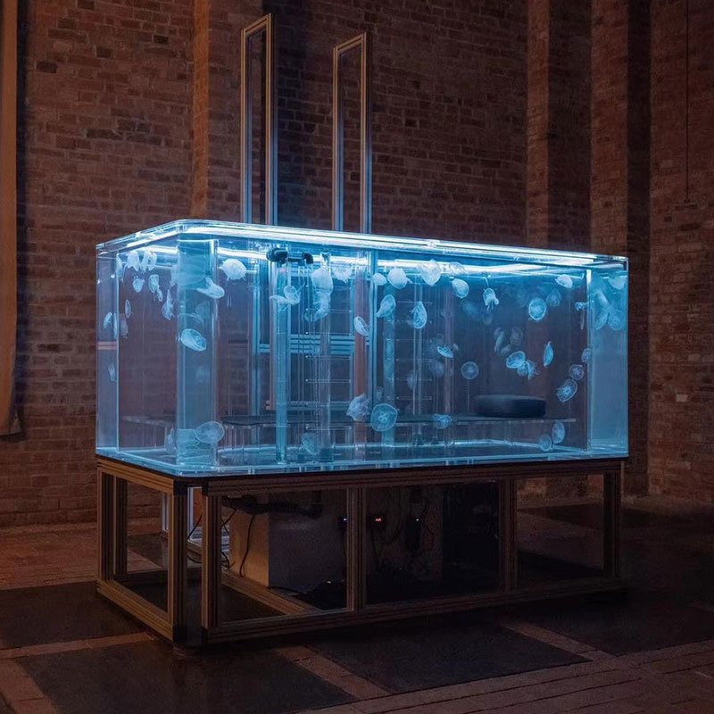 Factory Custom Acrylic Tanks The Clear Choice for Breathtaking Underwater Worlds
