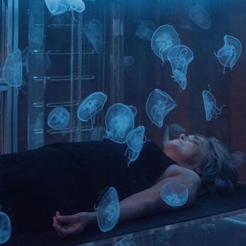 Factory Custom Acrylic Tanks The Clear Choice for Breathtaking Underwater Worlds