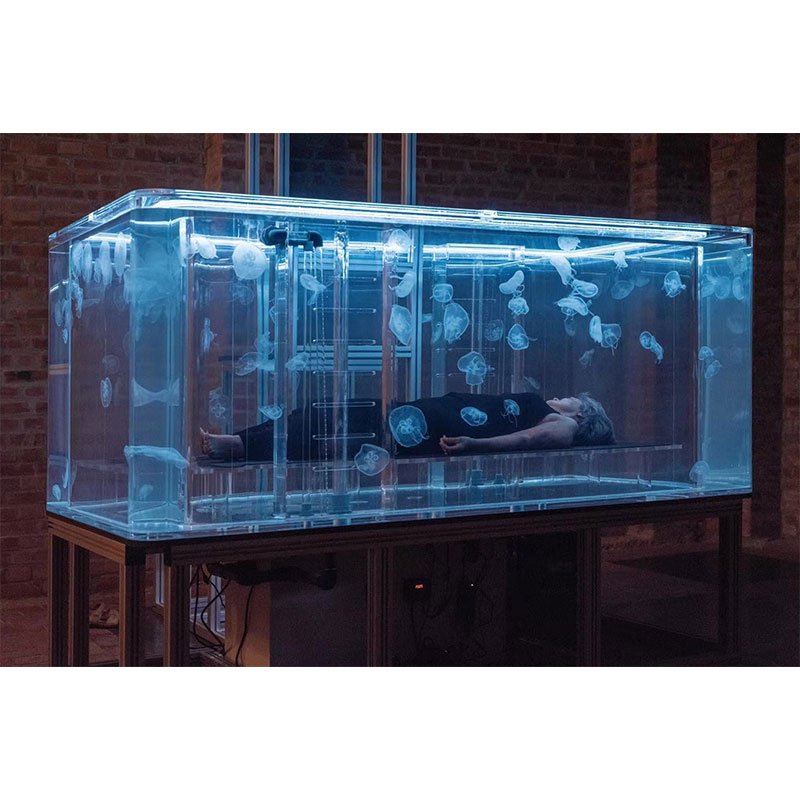 Factory Custom Acrylic Tanks The Clear Choice for Breathtaking Underwater Worlds