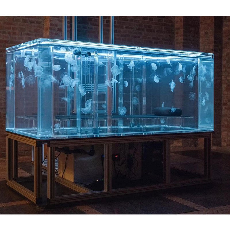 Factory Custom Acrylic Tanks The Clear Choice for Breathtaking Underwater Worlds