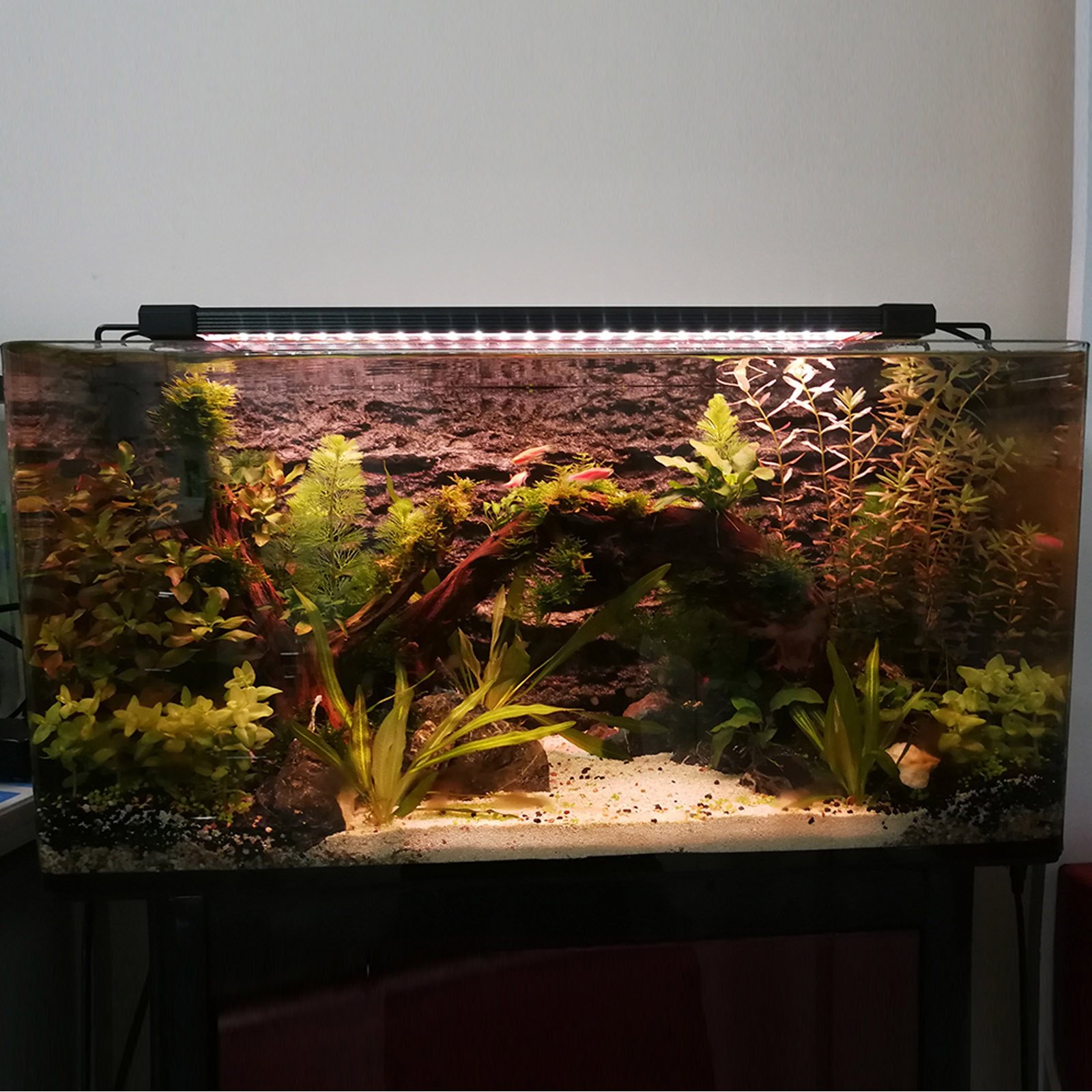 Liweida Red Blue White Green 11/18/24W led aquarium light for 35-100cm fish tank