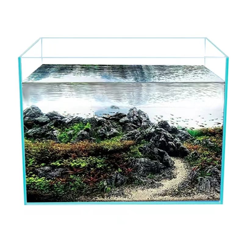 8mm 10mm Aquarium Fish Tank Ultra Clear Glass Toughened Glass with Polished Edges