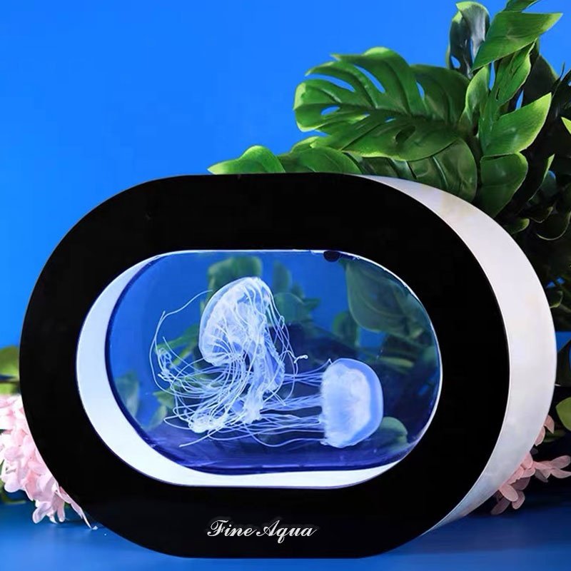 Hot Sale Desktop Jellyfish Aquarium Tank Kit for Real Live Jellyfish Fish Tank