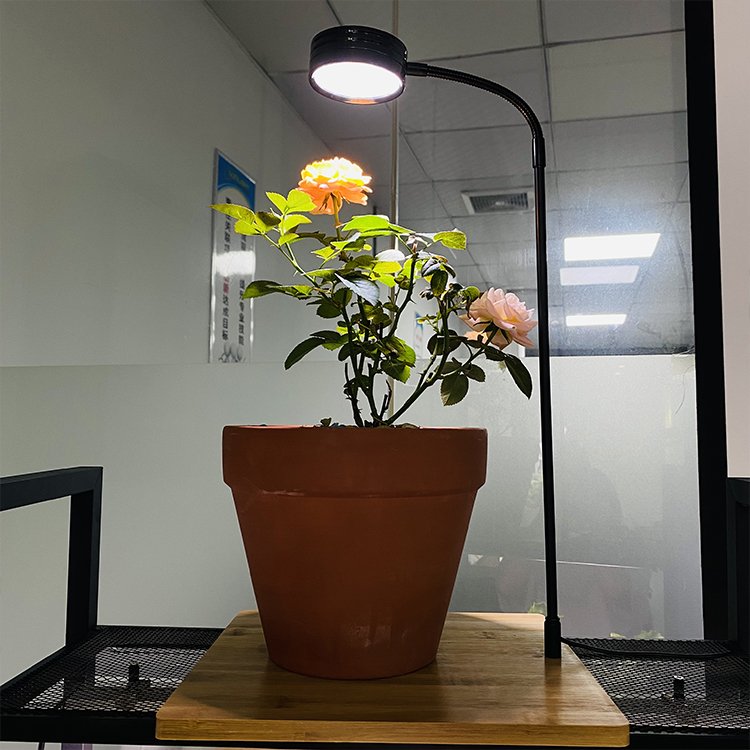 5W 7W 360 degree Indoor desktop flexible landscape succulent grow light bamboo board aquarium usb led plant lamp light