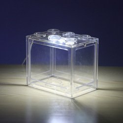 transparent