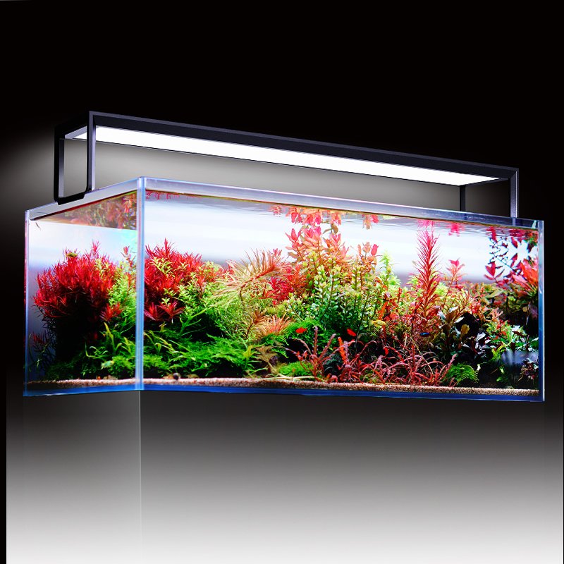 new arrival Changeable Color Fish Tank Lights Led Wrgb Intelligent Touch Control Aquarium Lights with wireless connection