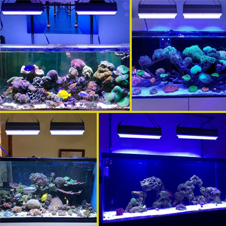 2024 Aquarium LED Light Super Slim Fish Aquatic Plant Grow Lighting Waterproof Bright Clip Lamp Aquarium Lights for Fish Tank