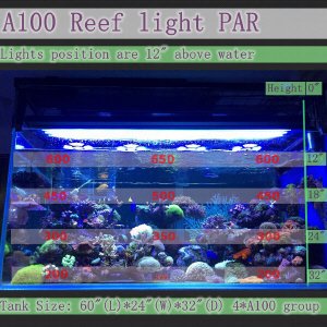CTLite 100w 3 Channels Dimmable Sunrise Sunset Simulation Epistar Led High Quality LED Aquarium Light For Marine Tank