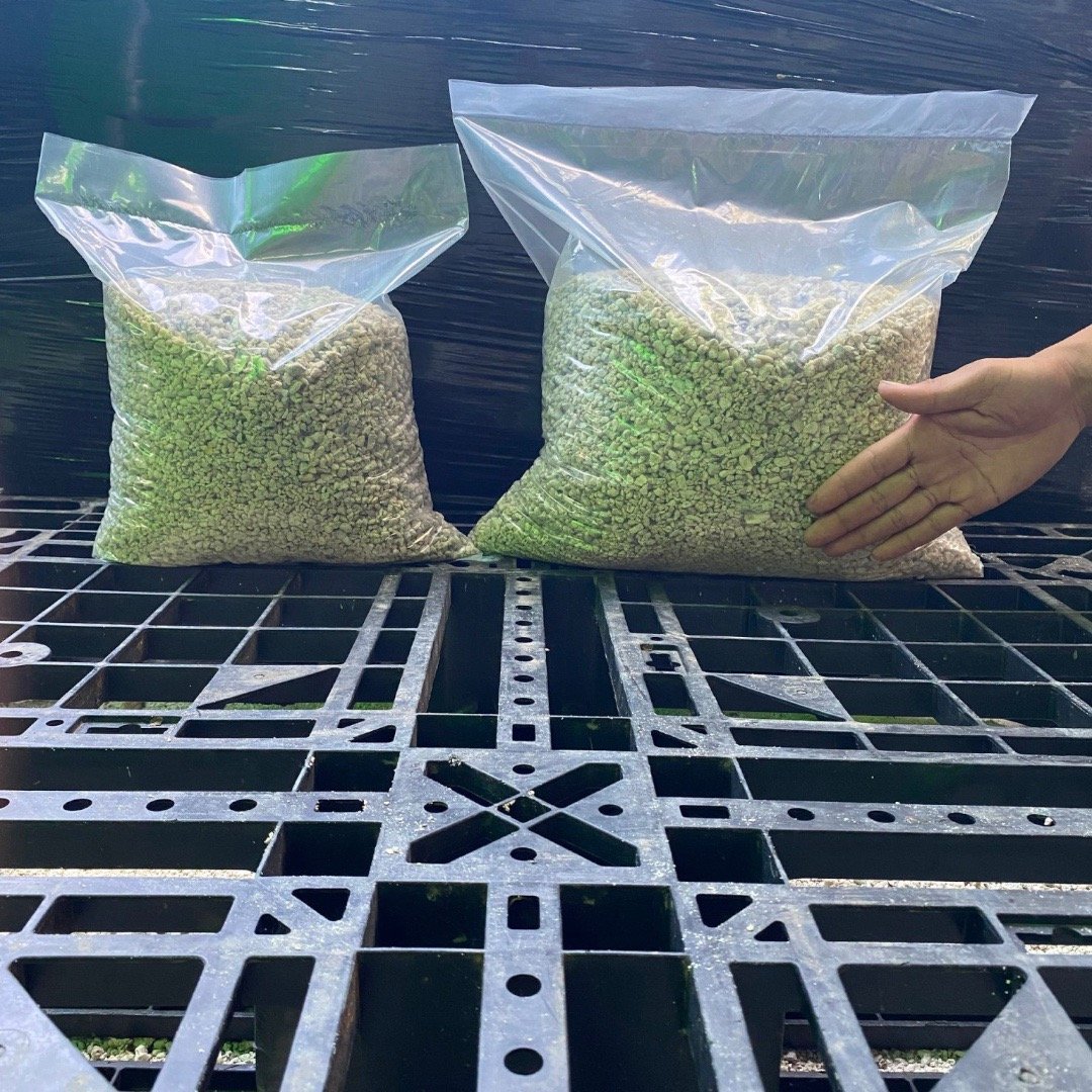 Vietnam, coral sand for aquarium, filter coral sand for aquarium, 20mm