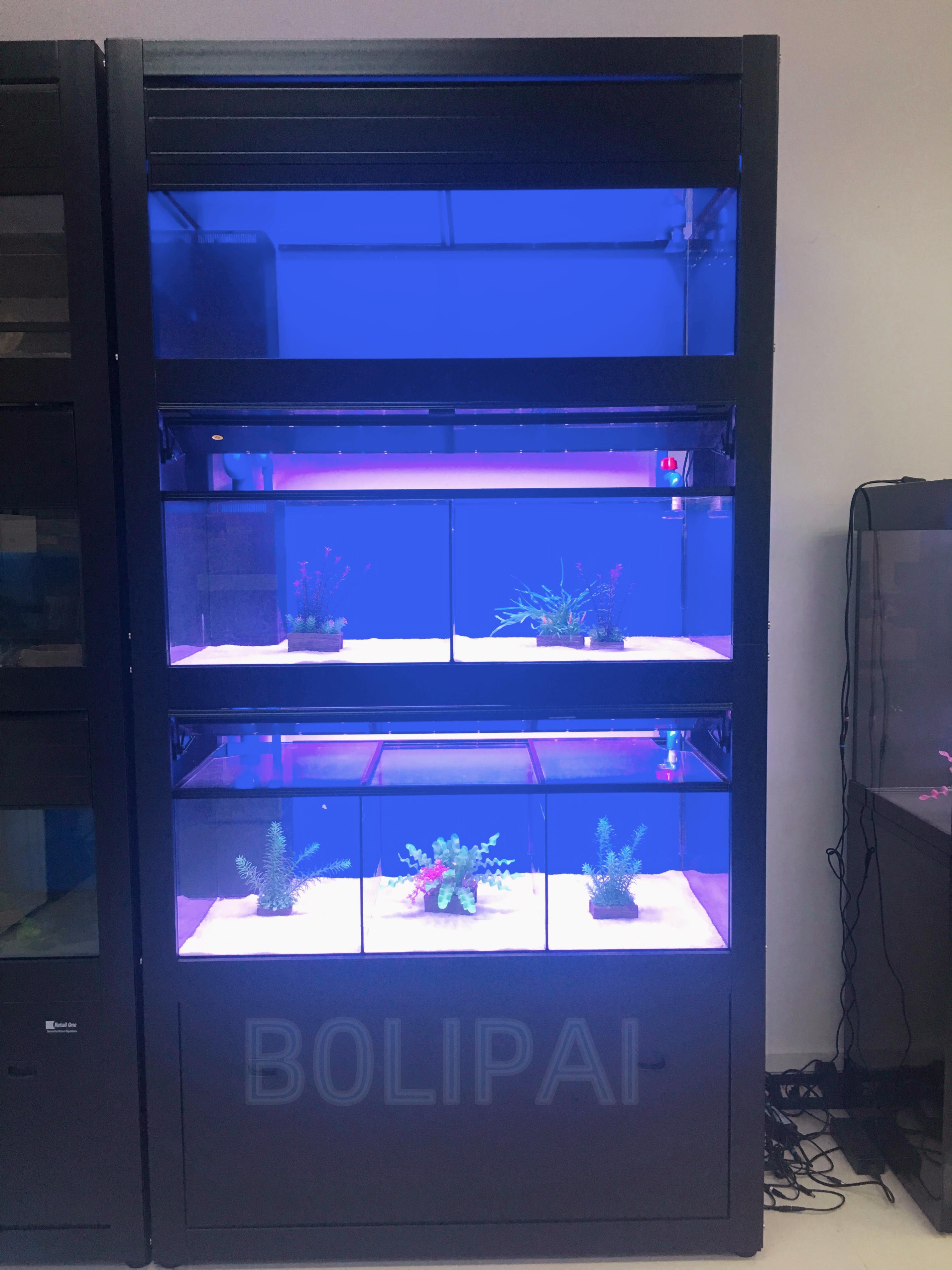 White 4 layers aquarium fish tank shop display for shop