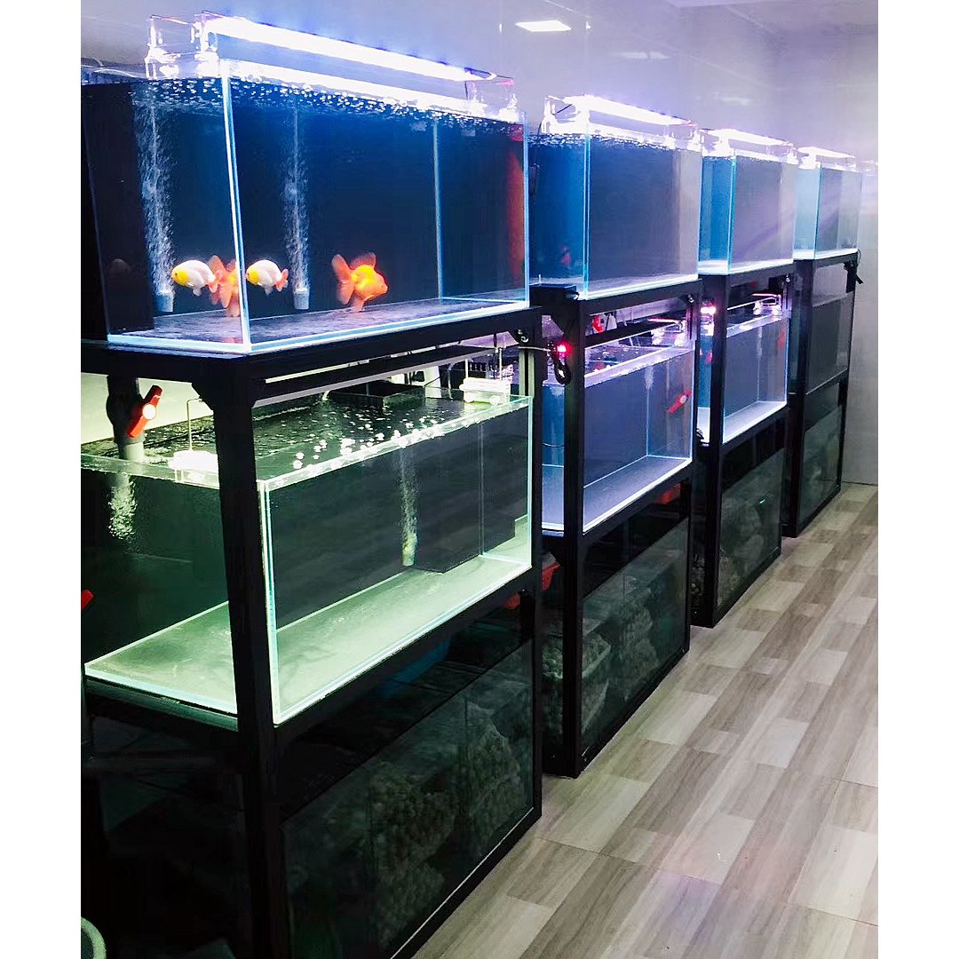 White 4 layers aquarium fish tank shop display for shop