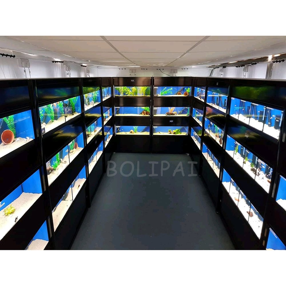 White 4 layers aquarium fish tank shop display for shop