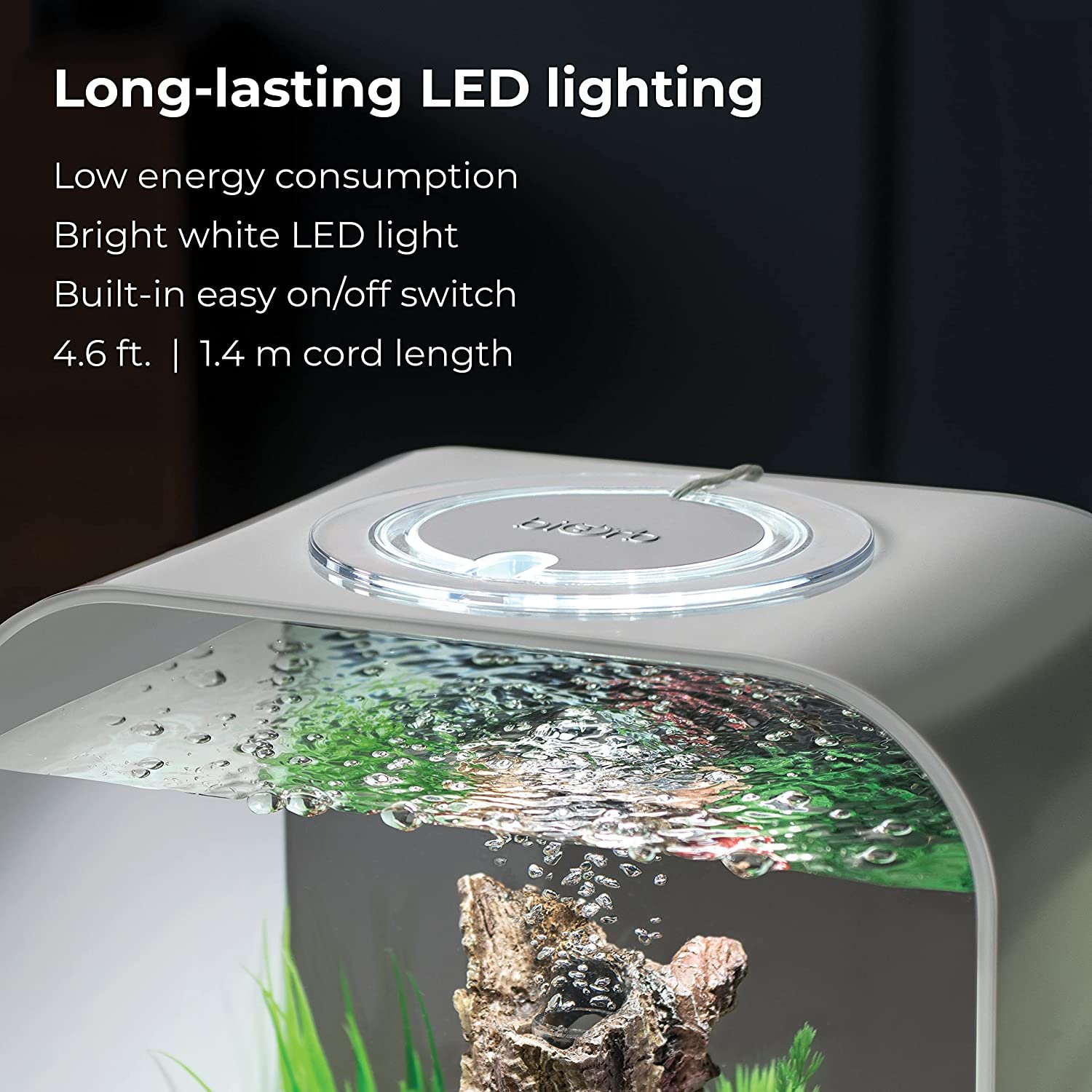 Factory Direct Sale High Quality Transparent Custom Acrylic Aquarium with Standard Light for Home Decor