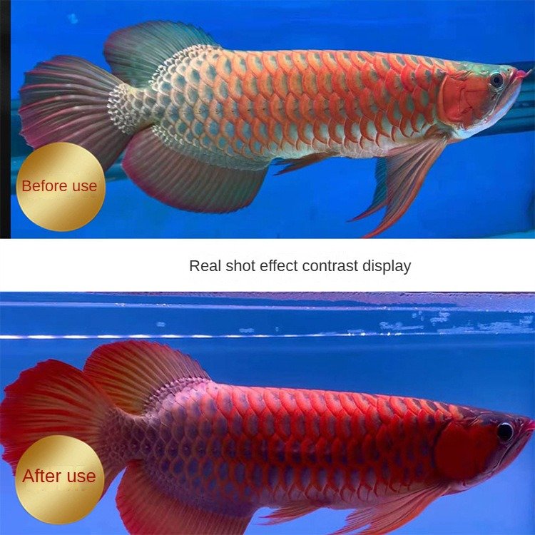 Aquarium dedicated fish tank LED fish tank light Dragon fish light dedicated tri color