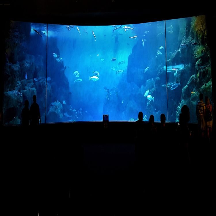 30M Large Aquarium Acrylic Cylindrical Customized Big Cylinder Acrylic Aquarium Fish Tank