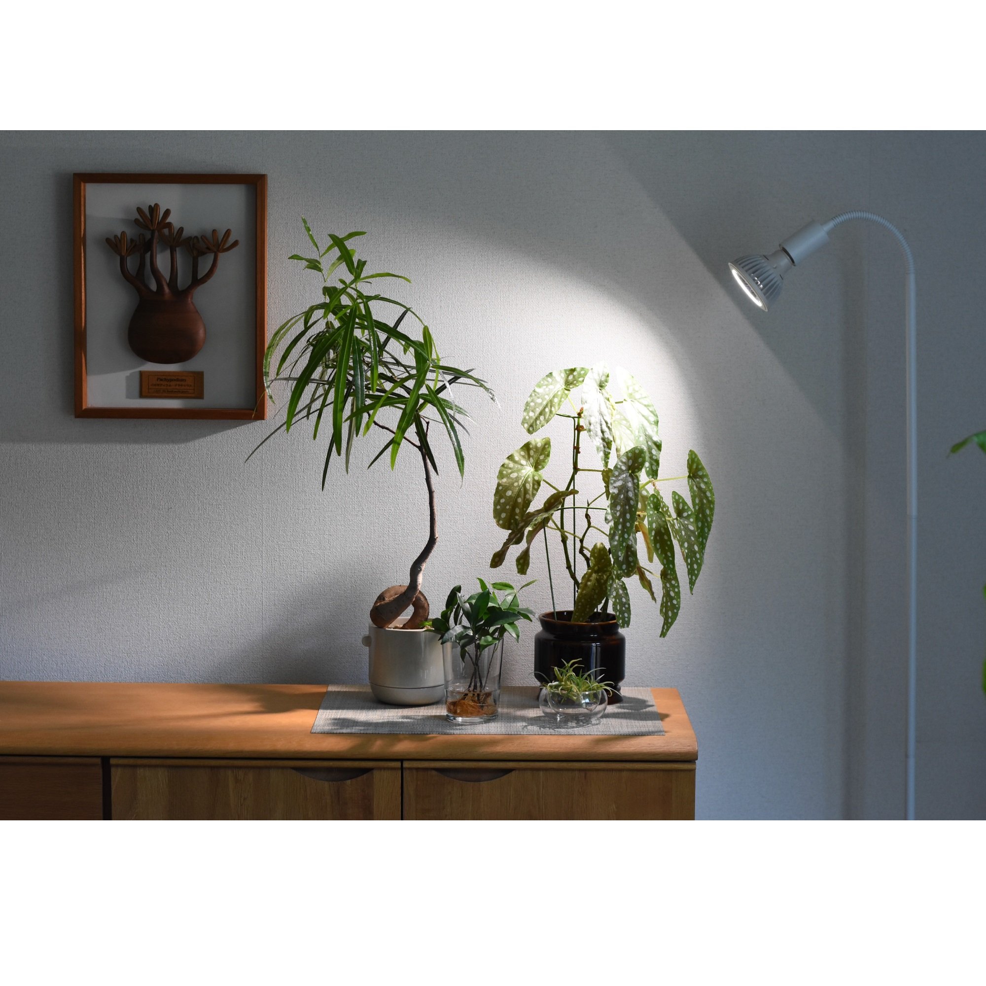 Finest Quality Wholesale TSUKUYOMI 10W Color Rendering Underwater Plants Growing Aquarium Led Light
