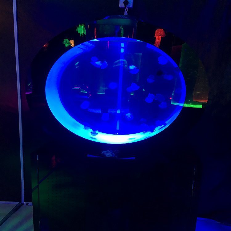 2021 Latest Design Hot sale Jellyfish tank, mini desktop tank for fish@