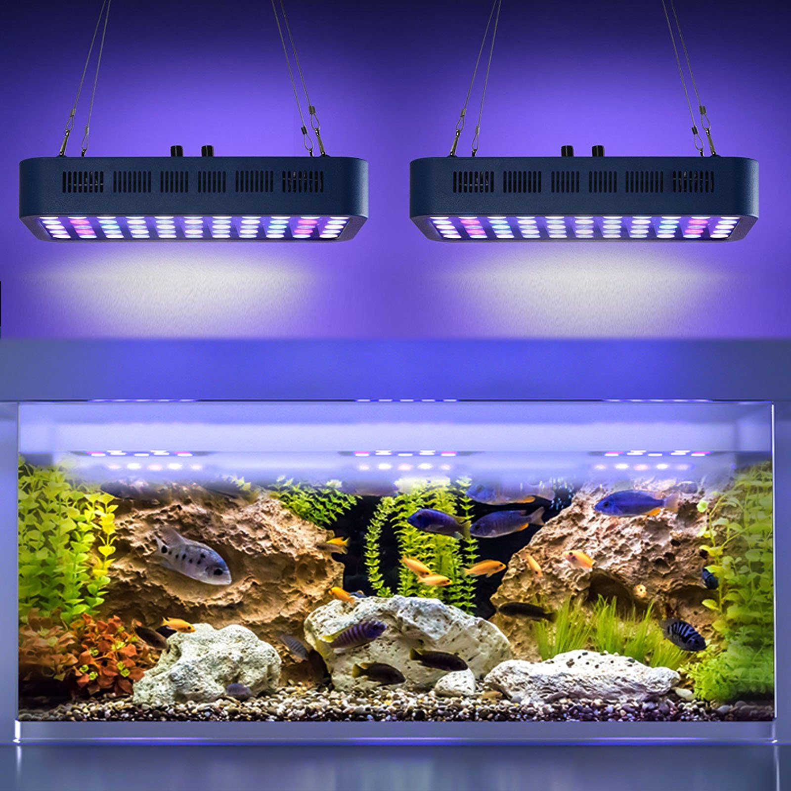 Cusomik China Supplier Dimmable 165W Full Spectrum Small White Blue Led Aquarium Light 55*3W Panel Plants Arowana Tanning Light