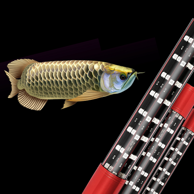 T10 5D 5 Rows led coral reef aquarium lights fish tank,full spectrum led aquarium lights used