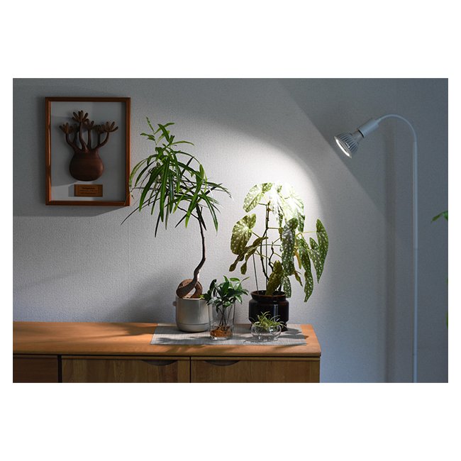 Top Selling Great Grades 10W Color Rendering Underwater Grows Planted Aquarium Light